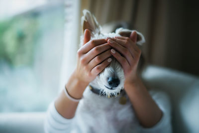 Close-up of hands covering dog's eyes