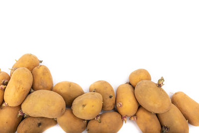 Close-up of fruits against white background