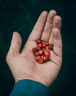 Cropped hand holding strawberries