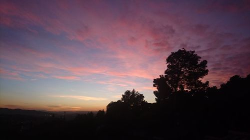 Silhouette trees against dramatic sky during sunset