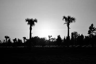 Silhouette palm trees against sky during sunset