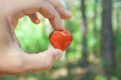 Cropped hand holding heart shape