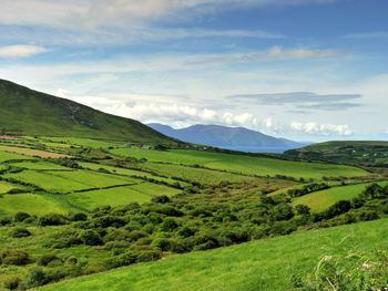 Scenic view of green landscape against sky