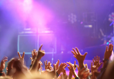 Crowd of people at music concert