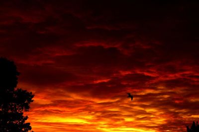 Low angle view of silhouette birds flying against dramatic sky