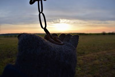 Close-up of metal structure on field against sky during sunset