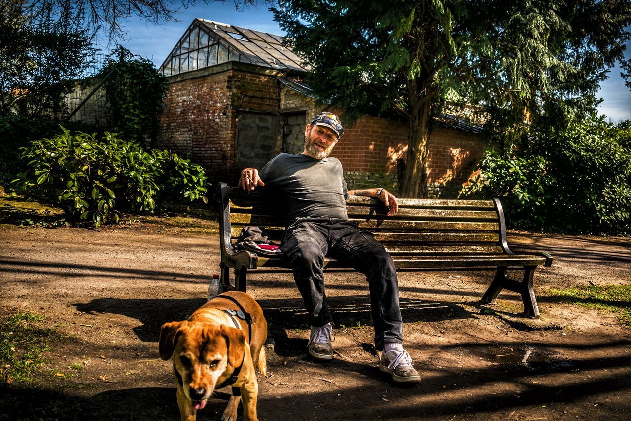 dog, pets, sunlight, tree, one animal, domestic animals, shadow, mammal, full length, outdoors, adult, people, pet owner, women, men, one person, day