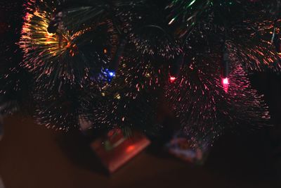 Firework display at night