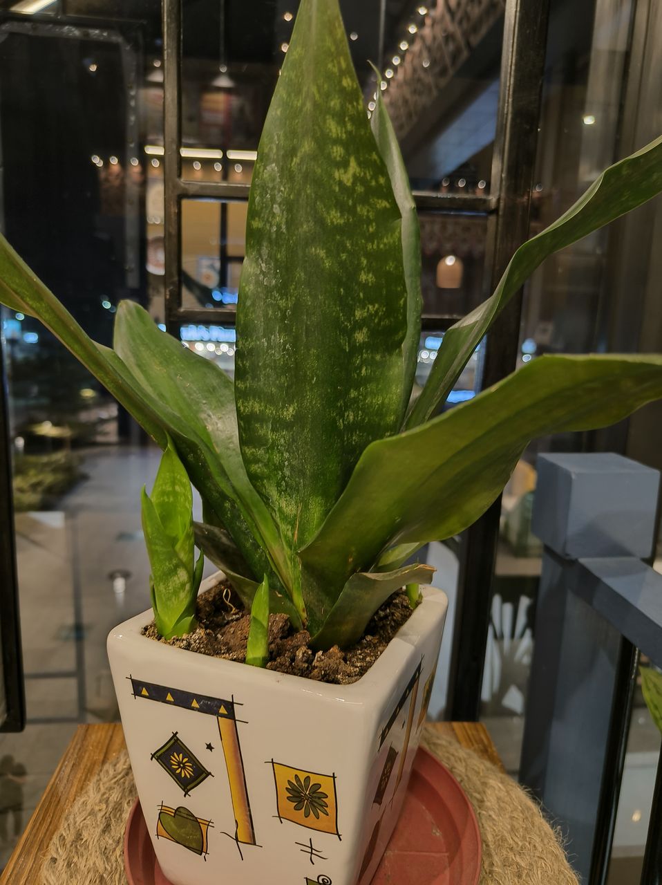 plant, flower, growth, green, nature, houseplant, indoors, no people, succulent plant, cactus, potted plant, flowerpot, food and drink, floristry, communication, food, healthcare and medicine
