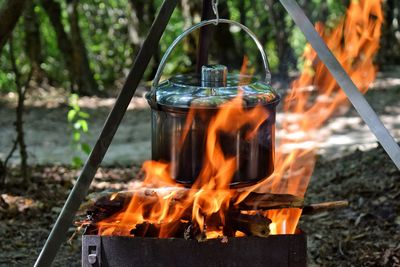 Close-up of food cooking on camping stove