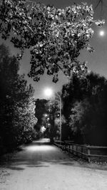 Street amidst trees at night