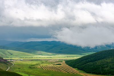 Scenic view of agricultural field against sky