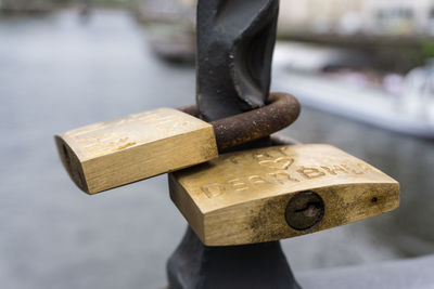 Close-up of gold padlocks locked to metallic fence
