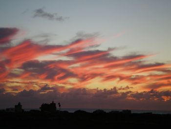 Silhouette of trees against dramatic sky