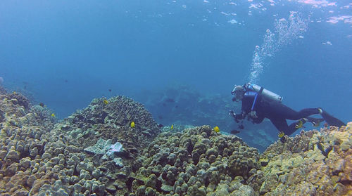 Person scuba diving in sea