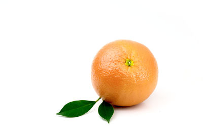 Close-up of orange fruit against white background