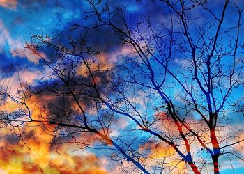 Low angle view of tree against sky