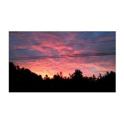 Silhouette of trees at sunset