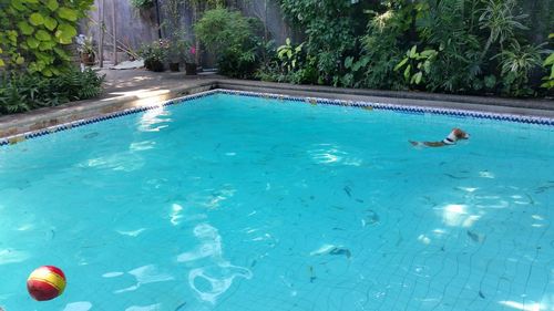 People swimming in pool