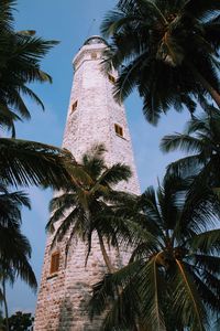 Low angle view of palm tree against sky