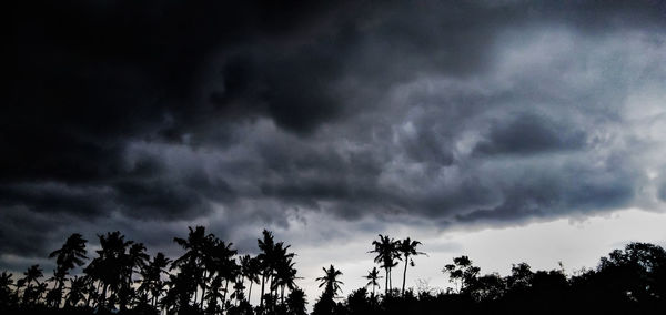 Low angle view of silhouette trees against storm clouds