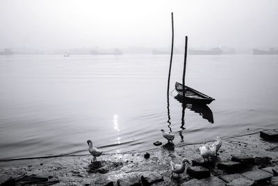 Rowboat moored at shore