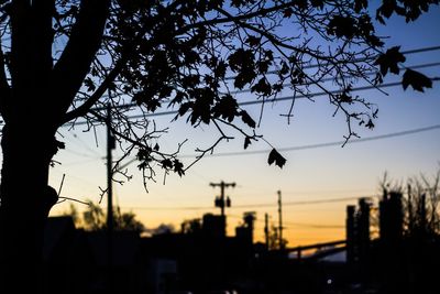 Low angle view of silhouette tree against sky