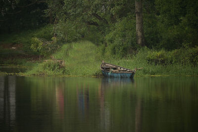 Scenic view of the lake