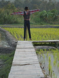 Scarecrow on field