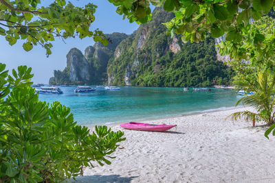 Scenic view of sea against trees