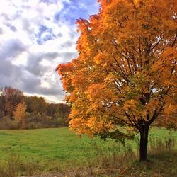 Scenic view of field against cloudy sky