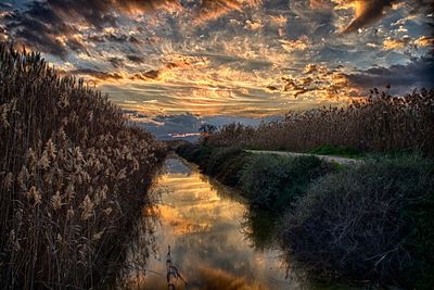 Scenic view of sea during sunset