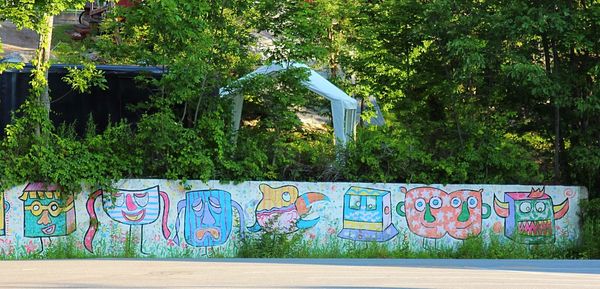 Graffiti on tree