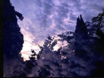 Low angle view of silhouette trees against sky