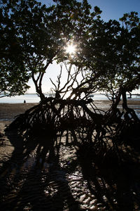 Silhouette trees on beach against bright sun