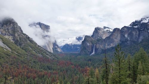 Panoramic shot of trees on landscape against sky