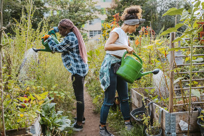 Female environmentalists watering plants while standing in urban farm