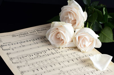 Close-up of white rose bouquet