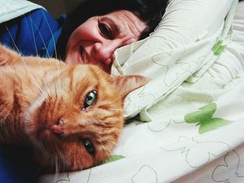 Close-up of ginger cat lying down