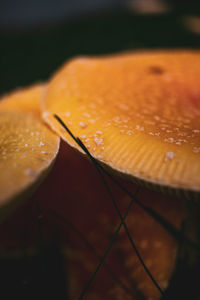 High angle view of raindrops on table