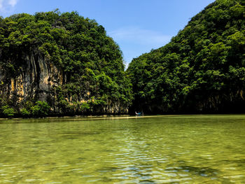 Scenic view of river and trees against sky