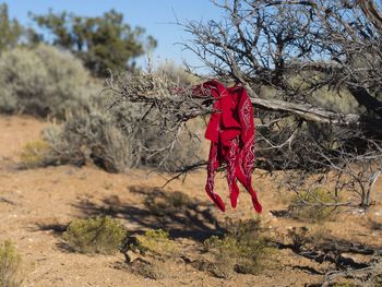 Red clothes drying on clothesline on field against sky