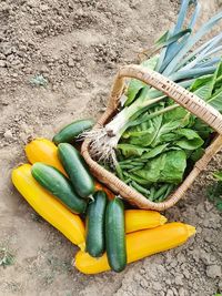 High angle view of bananas in basket