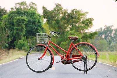 Bicycle against trees