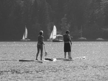 Rear view of people paddleboarding on sea during sunny day