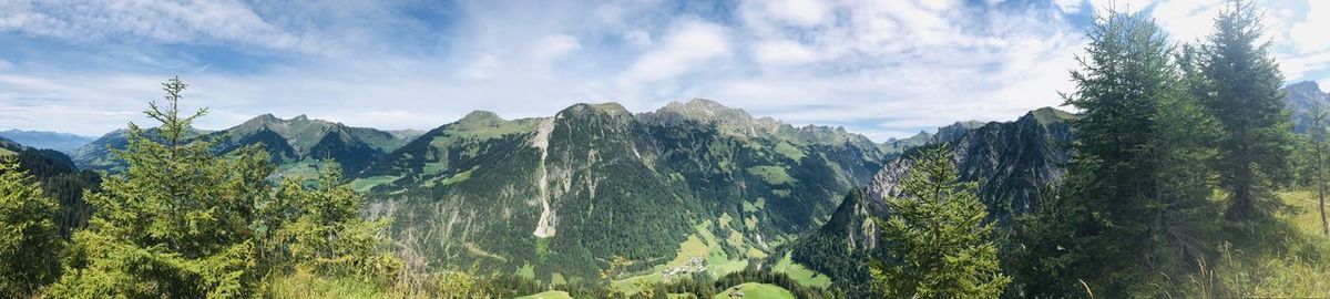 Panoramic view of trees on landscape against sky