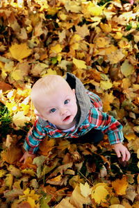 High angle portrait of baby boy on autumn leaves covered field