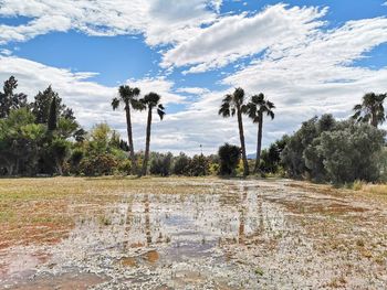 Flooded crops