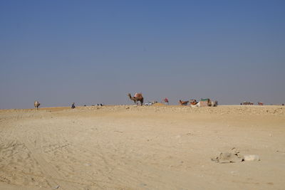 People at beach against clear blue sky