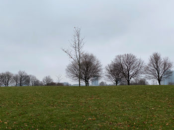 Bare trees on field against sky